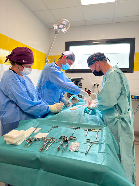 Espace-veterinaire-bloc-ouest-chirurgie