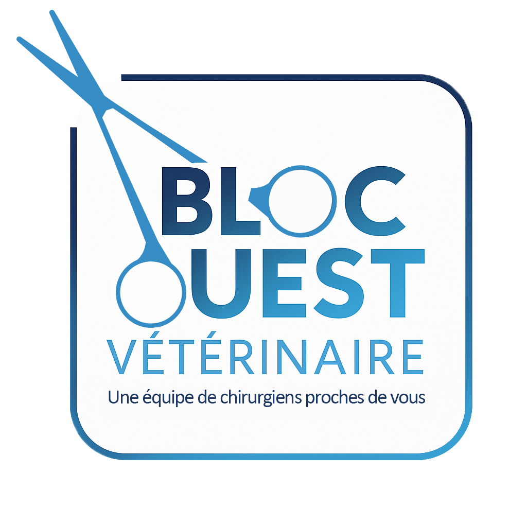 Bloc Ouest