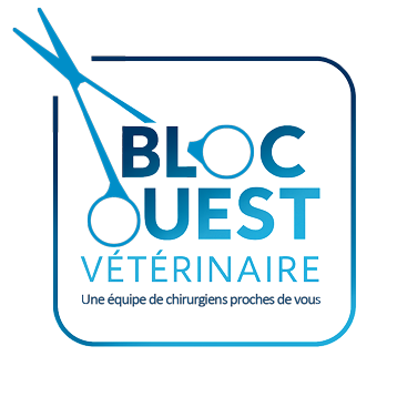 Bloc Ouest